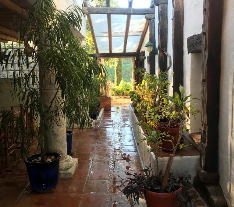 WhatsApp Image 2020-02-19 at 18.34.05